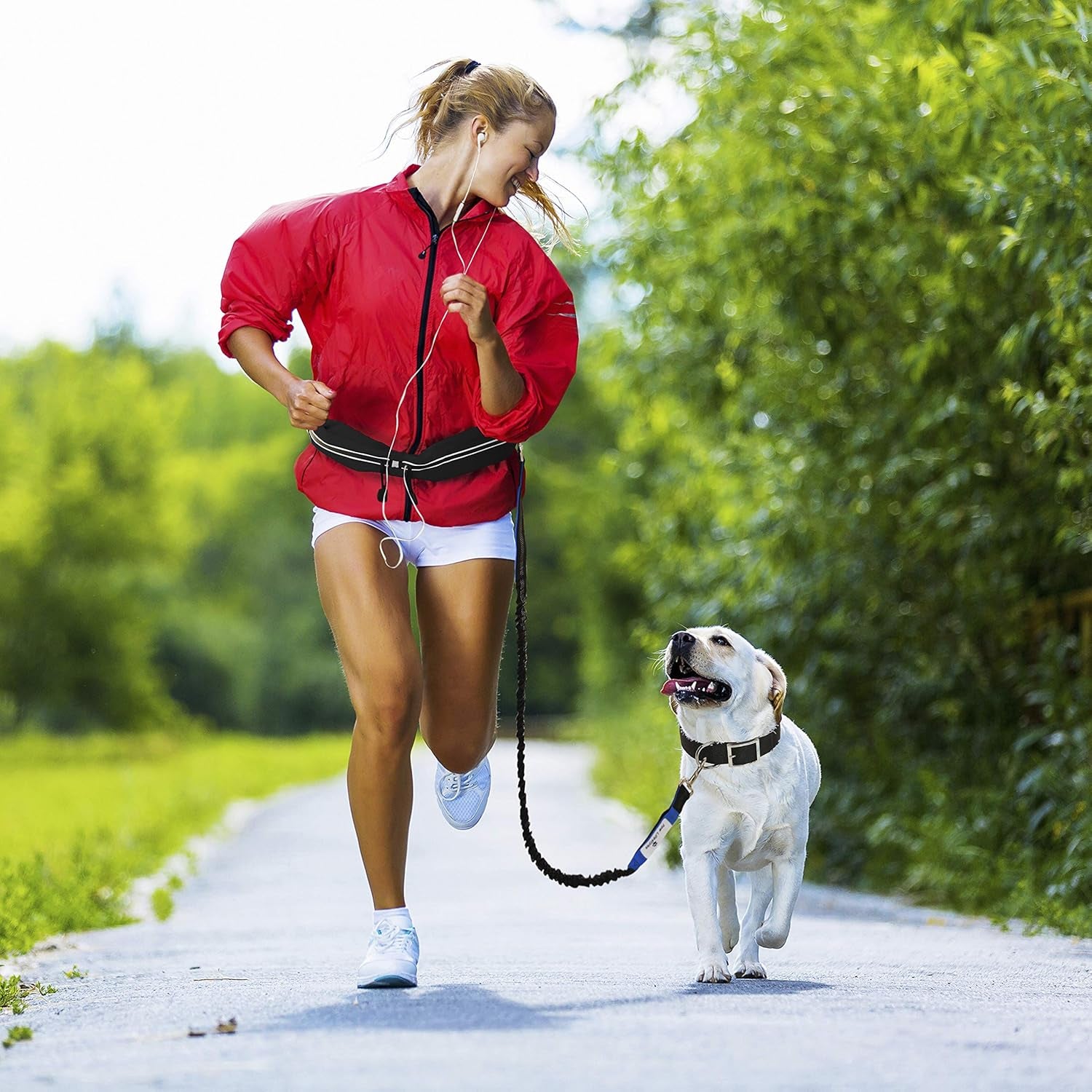 Retractable Hands Free Dog Leash W/Smartphone Pouch – Dual Handle Bungee Waist Leash for up to 150 Lbs Large Dogs (Black - Blue W/Smartphone Pouch)