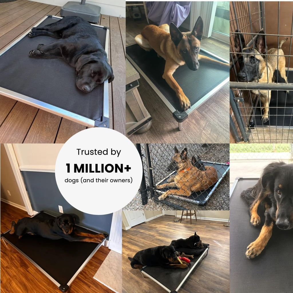 K9 Ballistics Chew Proof Elevated Outdoor Cooling Cot Bed for Large Dogs - Virtually Indestructible, Preassembled, Withstands Aggressive Chewers - L, Black Mesh