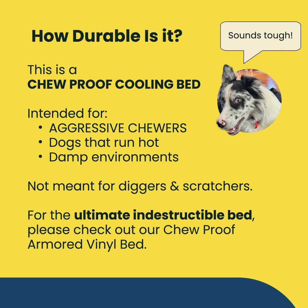 K9 Ballistics Chew Proof Elevated Cooling Outdoor Cot Bed for Small Dogs & Puppies - Virtually Indestructible, Preassembled, Withstands Aggressive Chewers - S, Black Mesh