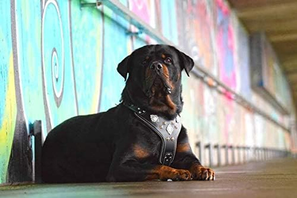 "Aztec Black Chest Plate Harness. 2 Tone Rivet Decorations. Zipper Decoration. Foam and Leather Padding Handmade in Europe.