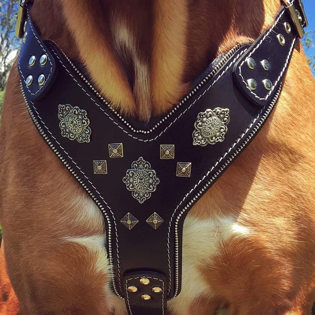 "Aztec Black Chest Plate Harness. 2 Tone Rivet Decorations. Zipper Decoration. Foam and Leather Padding Handmade in Europe.