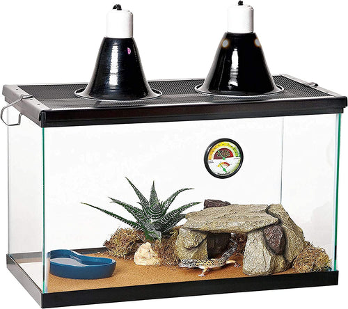 10 Gallon Pet Reptile Starter Habitat Kit with Light and Heat for Small Desert Dwelling Animals