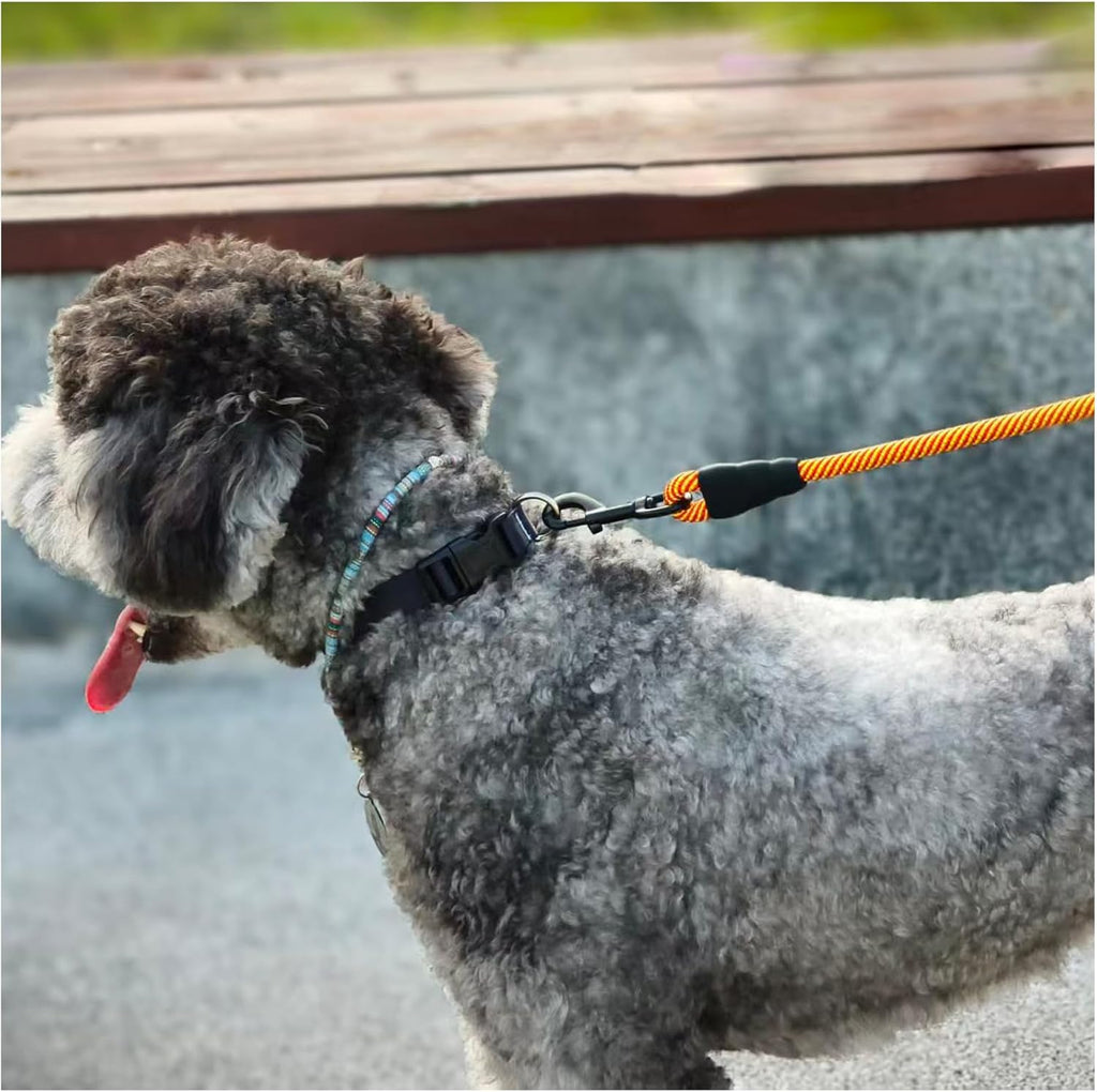 Heavy Duty Rope Dog Leash, 6/8/10FT Nylon Pet Leash, Soft Padded Handle Thick Lead Leashes for Large Medium Dogs (Orange, 1/2" * 6')